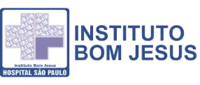 Instituto bom jesus São paulo